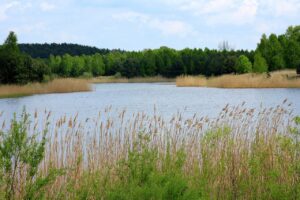 Wypoczynek nad wodą – zalew w Strykowie, zalew w Głownie Mrożyczka.
